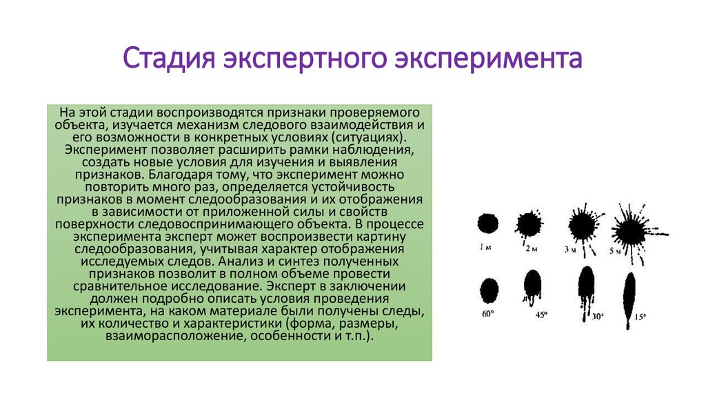 Создание экспериментального метода какая картина