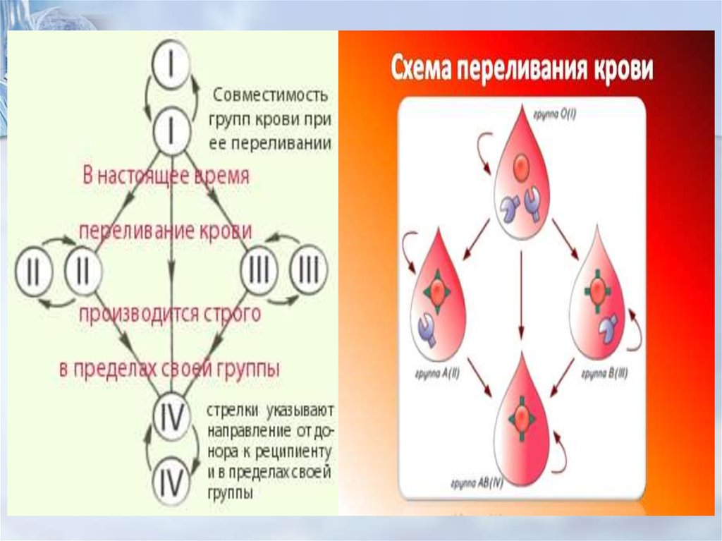 График выезд переливания крови. Зарисуйте схему «переливание крови». Схема переливания групп крови. Составить схему переливания крови. Переливание кровичсхема.