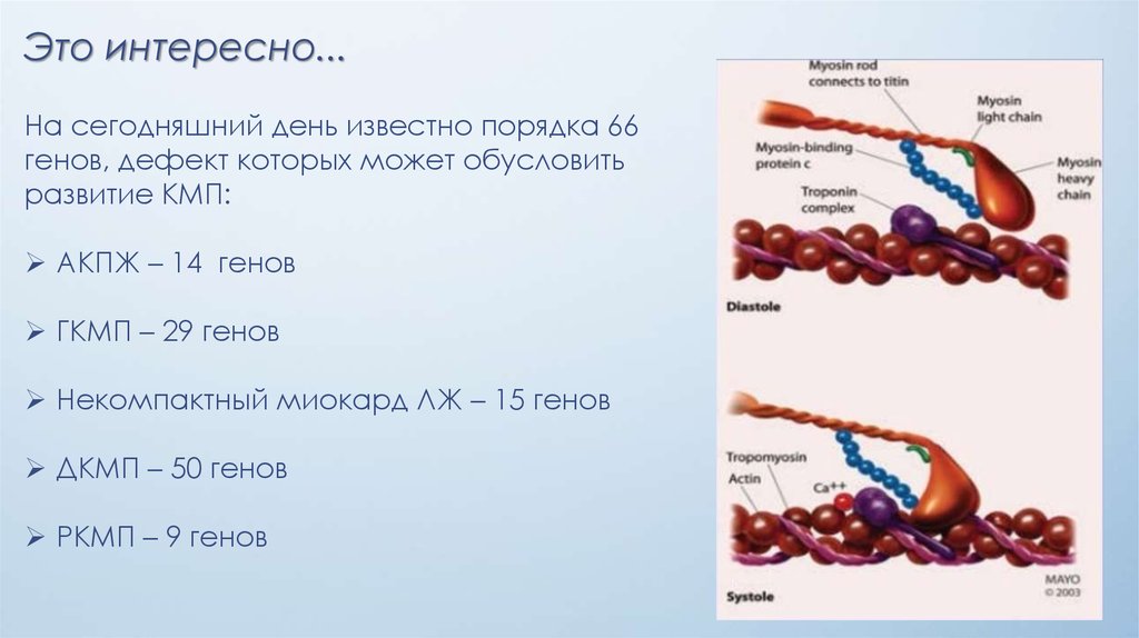 дефект генов