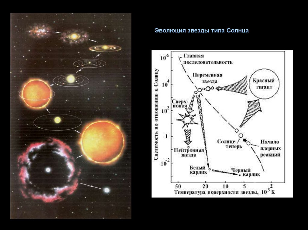 На рисунке схематично показана эволюция звезды типа солнца масштабы изображения