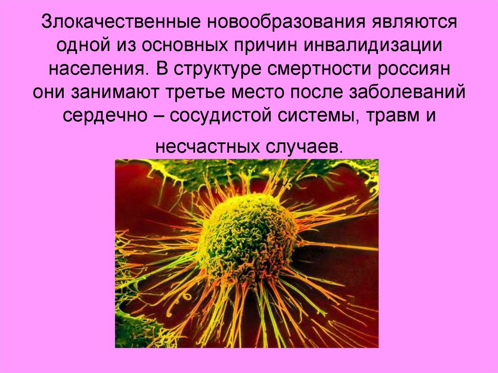 Рост злокачественных новообразований. Злокачественные новообразования. Злокачественные новообразования на клеточным уровне наука. Учебник по генетике злокачественных новообразований. Злокачественные опухоли стихи.