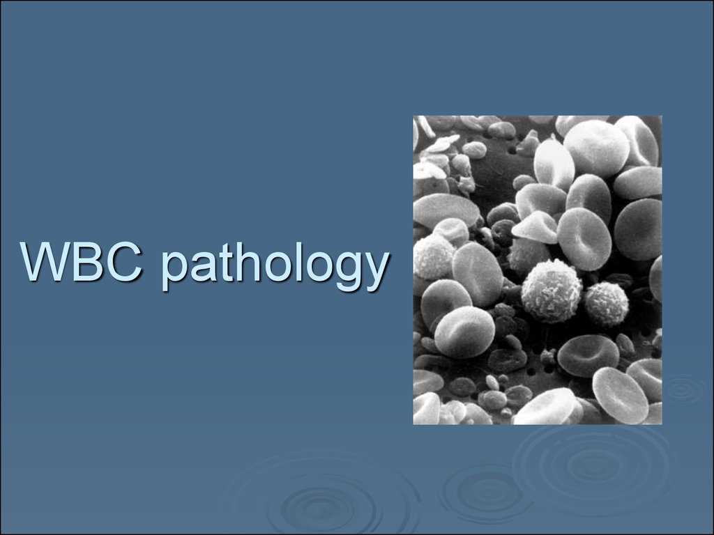 WBC pathology