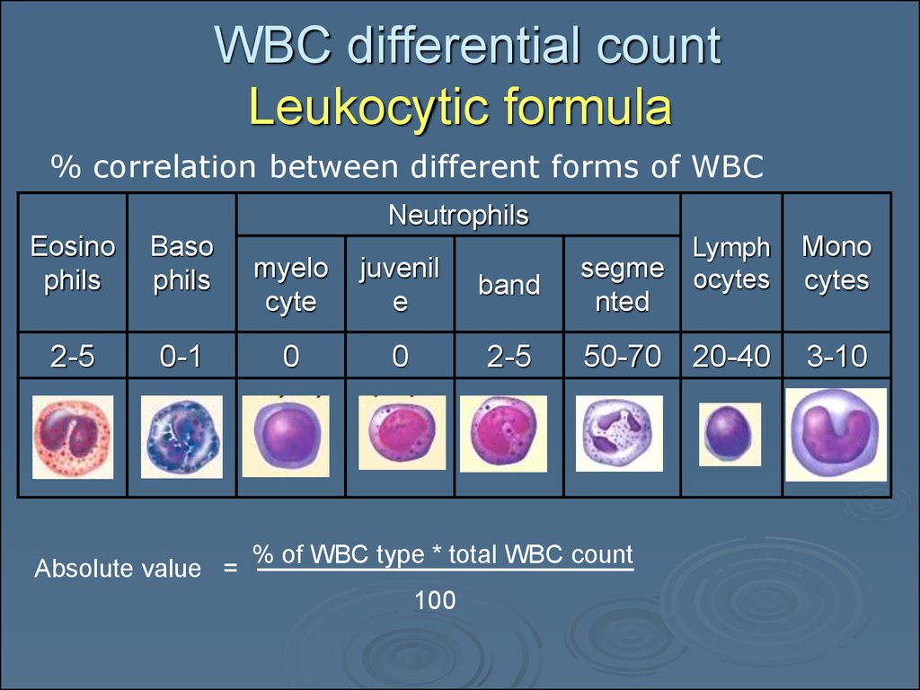 WBC differential count Leukocytic formula
