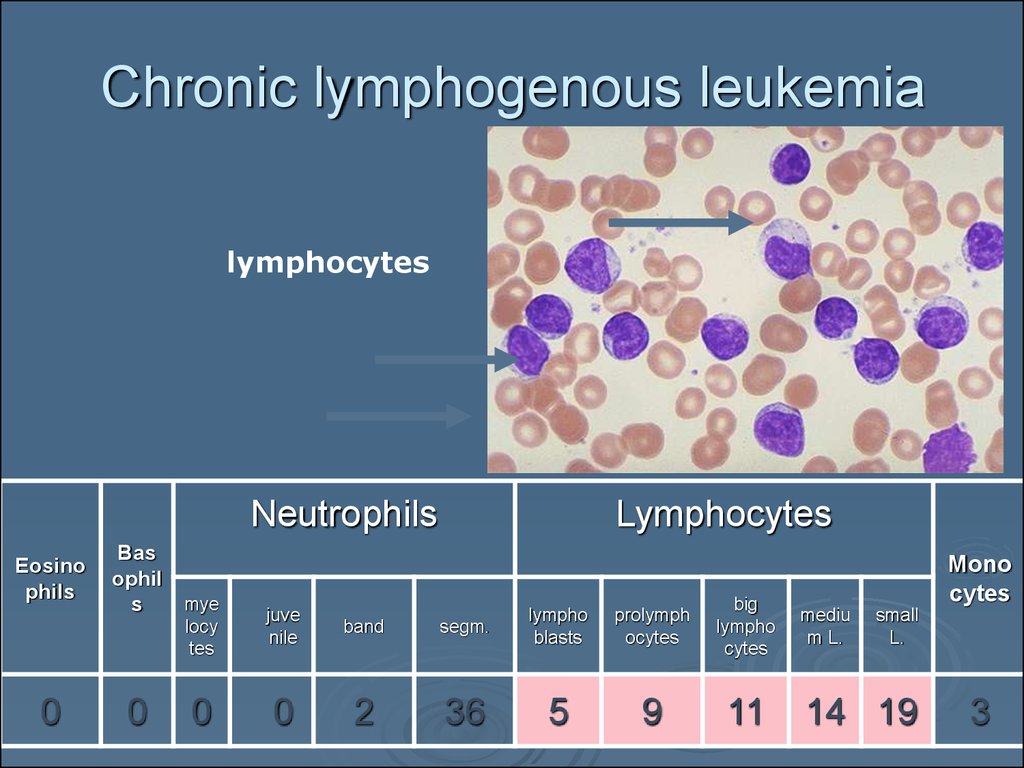 wbc-pathology-subject-11