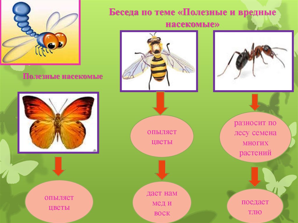 Польза насекомых. Полезные и вредные насекомые. Полезные насекомые для дошкольников. Вредные насекомые для дошкольников. Полезные и вредные насекомые для детей.