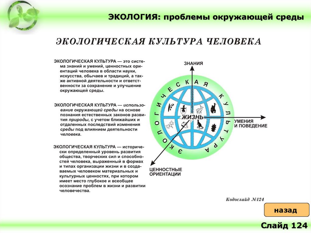 Проблемы экологии в современном обществе план