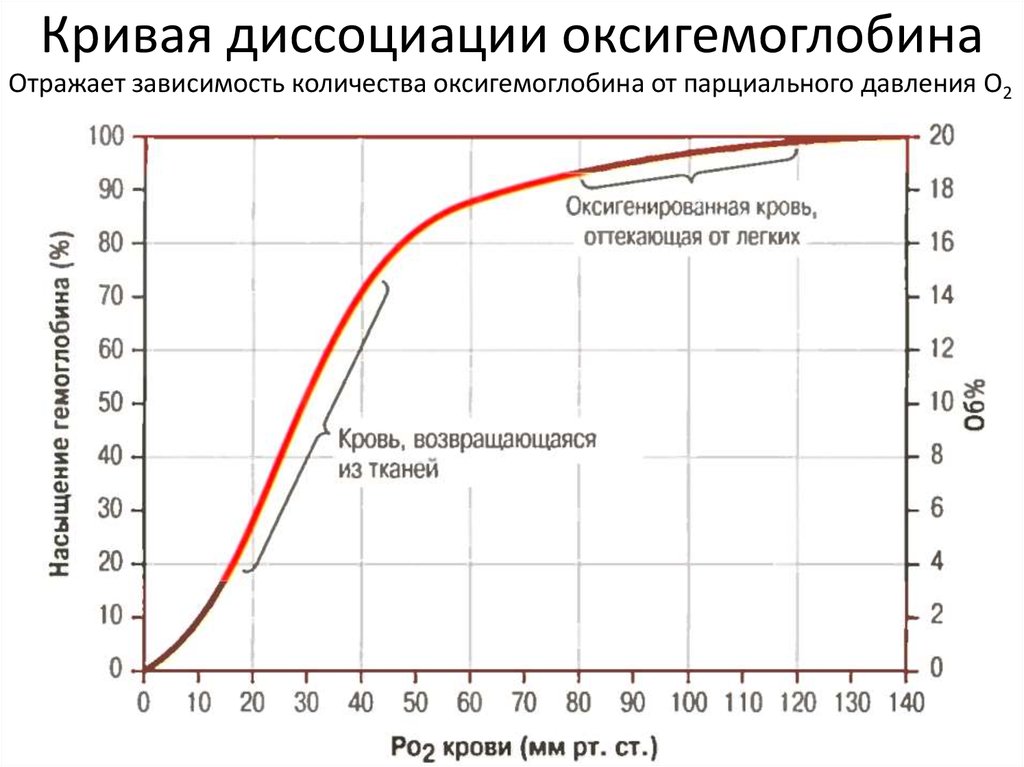 Диссоциация оксигемоглобина