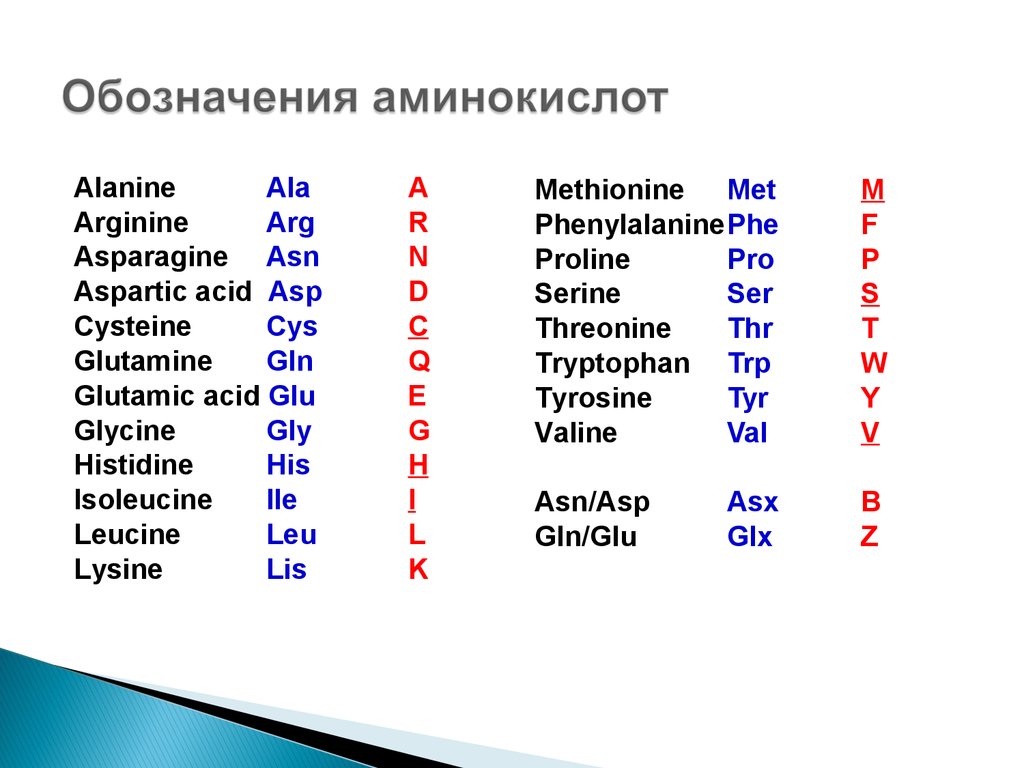 Что обозначается 6. Буквенное обозначение аминокислот таблица. Однобуквенные обозначения аминокислот. Сокращения названий аминокислот таблица. Буквенные названия аминокислот.