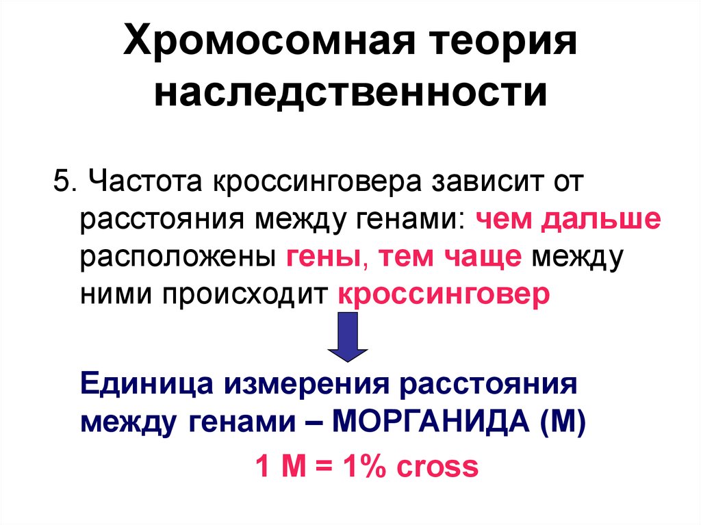 Презентация на тему хромосомная теория наследственности