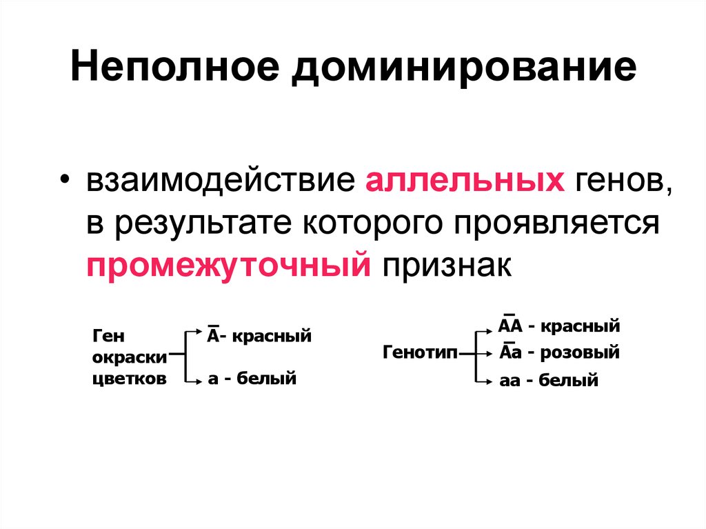 Нормальное доминирование. Неполное доминирование это в биологии. Промежуточный признак неполное доминирование. Полное и неполное доминирование биология 9 класс. Не подное доминирование.