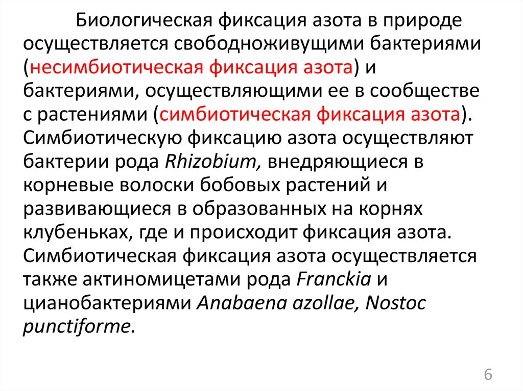 Симбиотическая азотфиксация. Фиксация молекулярного азота микроорганизмами. Фиксация азота бактериями. Симбиотическая фиксация азота. Симбиотическая фиксация молекулярного азота.