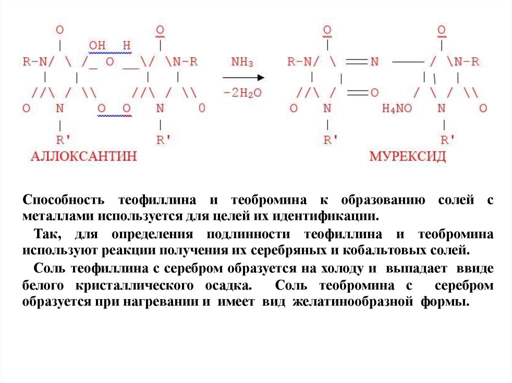 Производные пурина подлинность