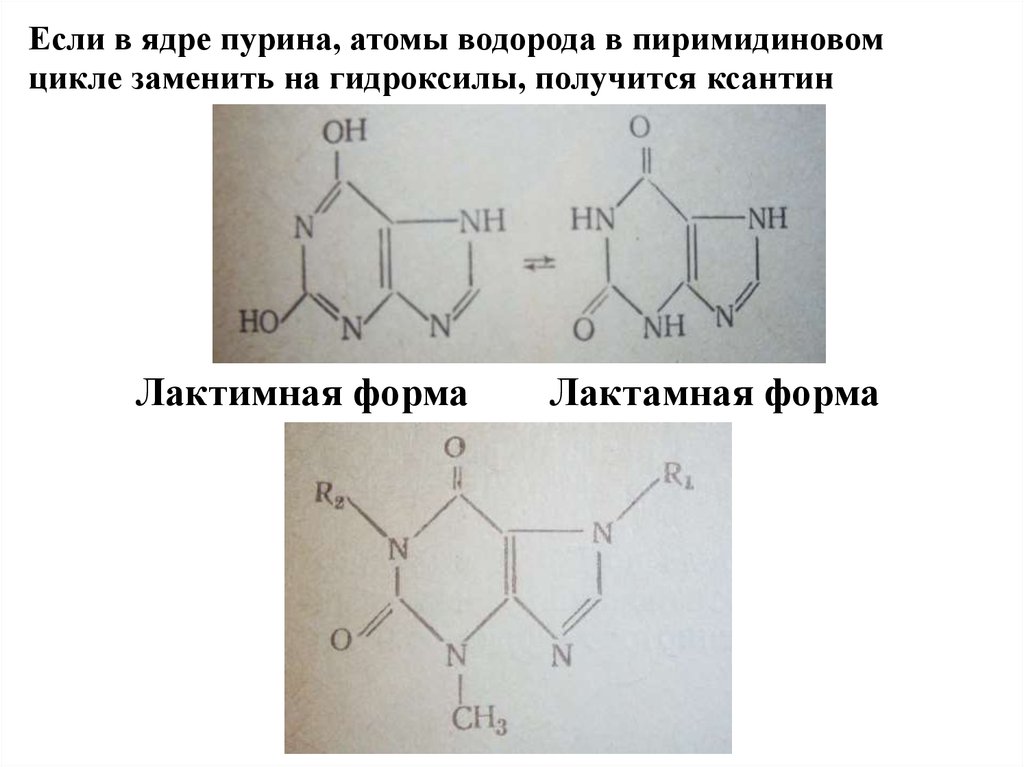 Производные пурина подлинность