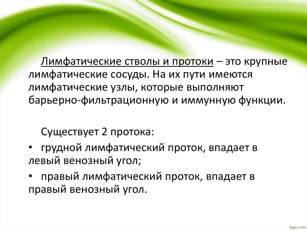 Крупные лимфатические стволы. Лимф стволы функции. Лимфатические стволы и протоки.