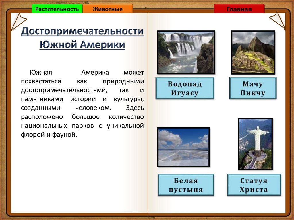 Проект по окружающему миру 2 класс южная америка