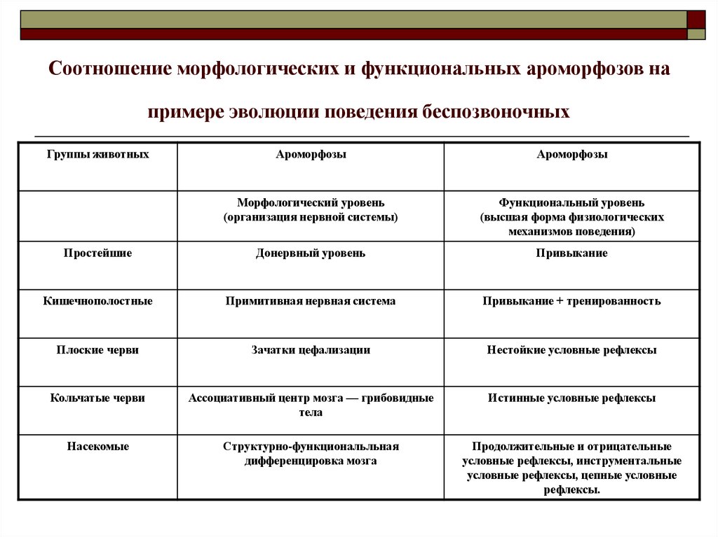 Важнейшие ароморфозы животных. Основные ароморфозы в эволюции животных. Ароморфозы животных таблица. Основные ароморфозы растений и животных. Ароморфозы беспозвоночных.