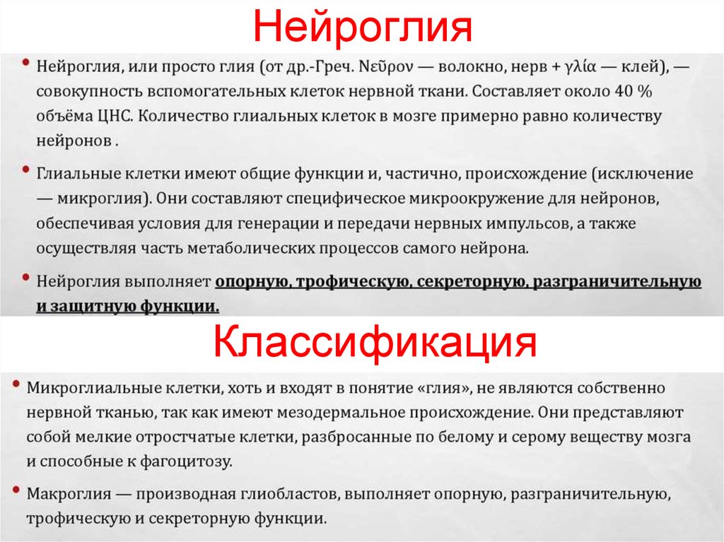 Нейроглия происхождение. Нейроглия – классификация и строение. Классификация клеток нейроглии. Нейроглия общая характеристика. Нейроглия строение.