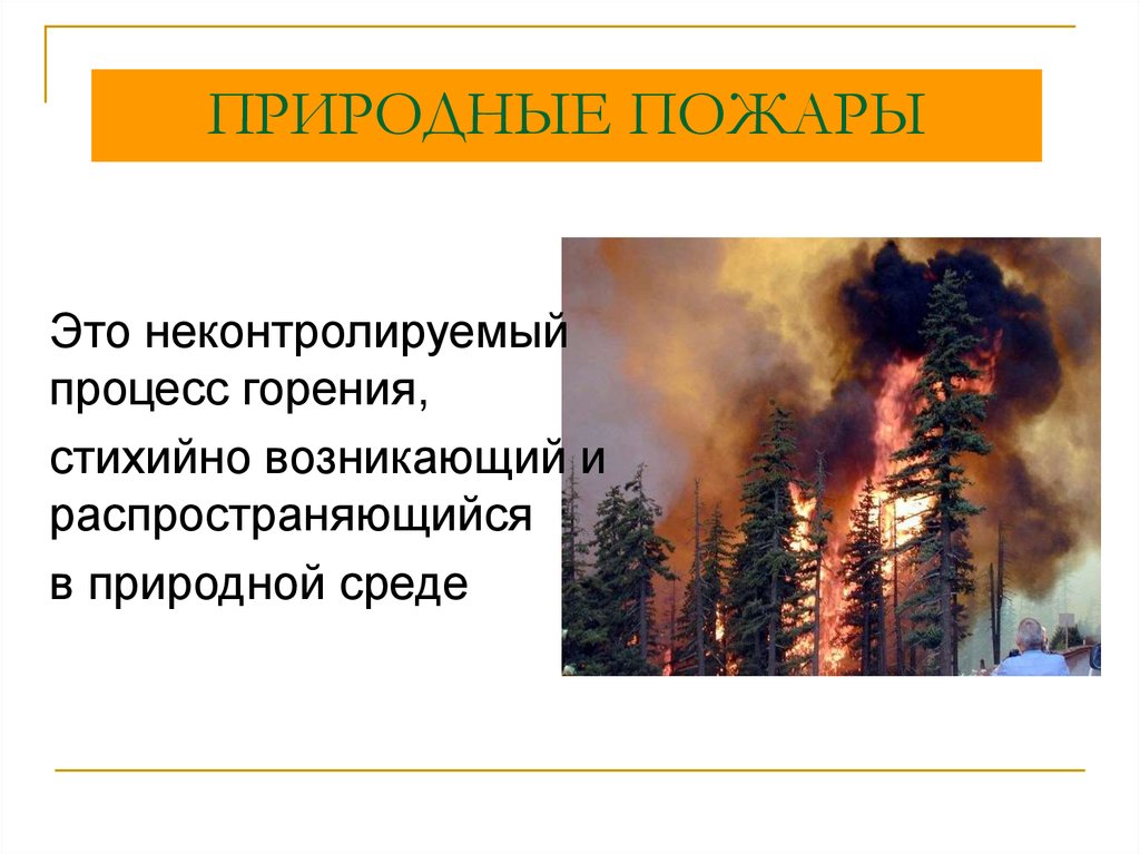 Лесной пожар относится к биологически опасным явлениям. Пожары природного характера. Природные пожары ЧС природного характера. Природные пожары по характеру горения. Чрезвычайная ситуация пожар.
