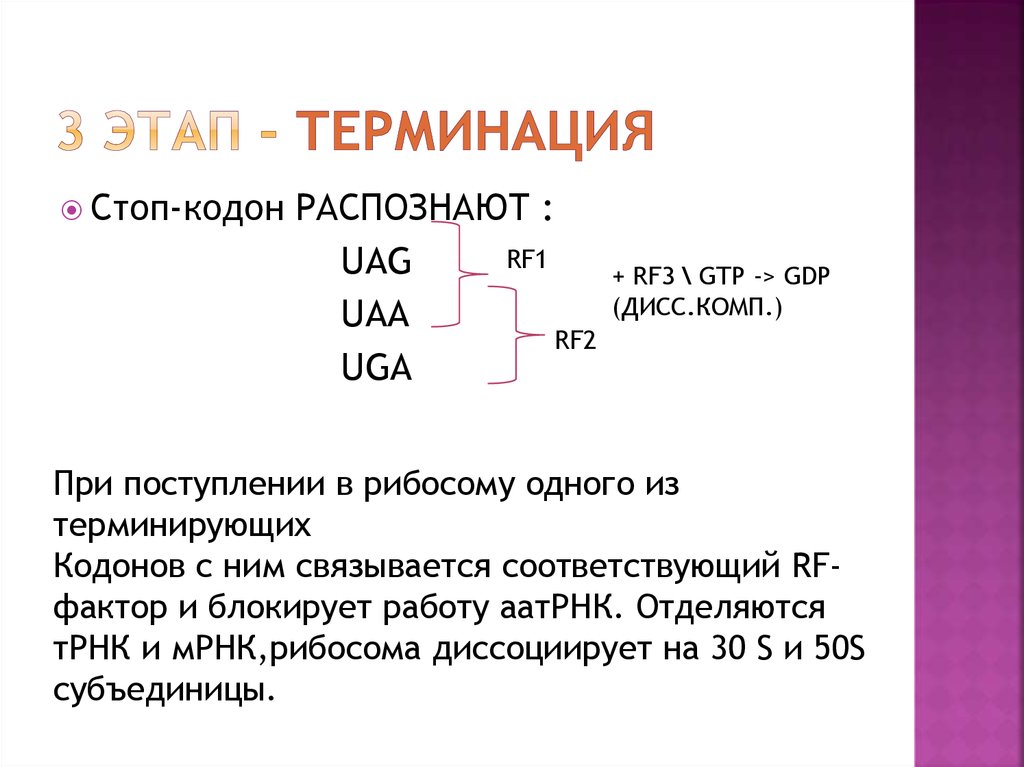 Стартовый кодон ирнк. Стоп кодоны. Старт кодон. Стартовый кодон.