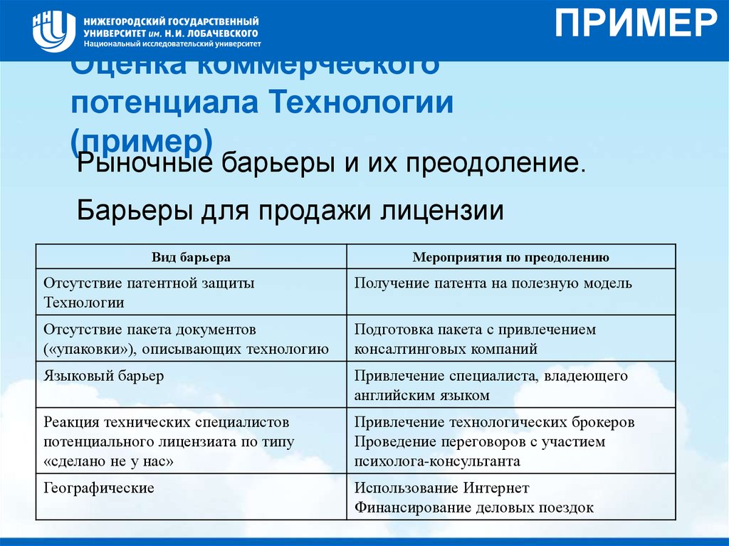 Потенциал проекта пример