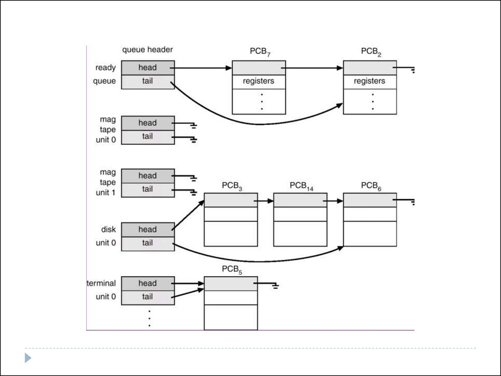 pdf A Complete Path for