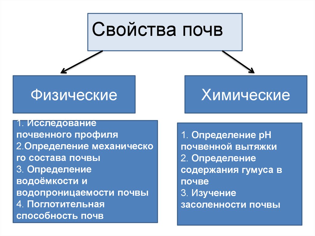 Определенное и определяемое физическое лицо. Физические свойства почвы. Физические и химические свойства почвы. Физ свойства почвы. Физико-химические свойства почвы.