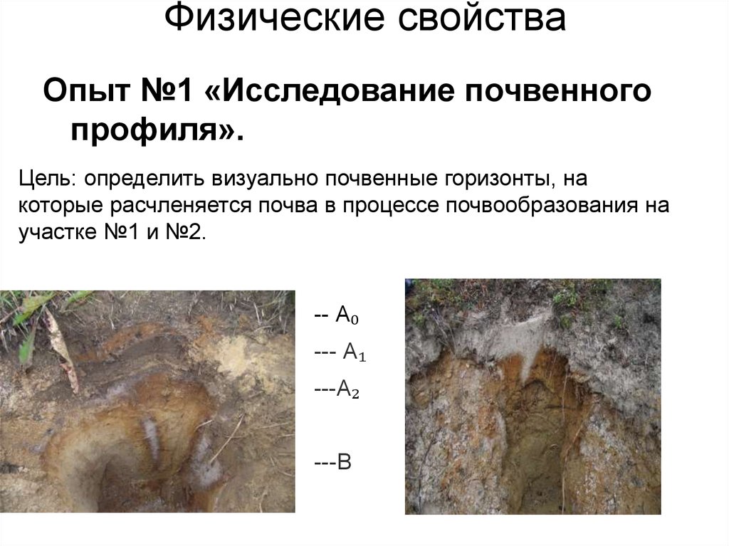 В какой природной зоне подзолистые почвы. Характеристика подзолистых почв кратко. Свойства подзолистых почв. Подзолистые почвы характеристика. Физические и водно-физические свойства подзолистых почв.