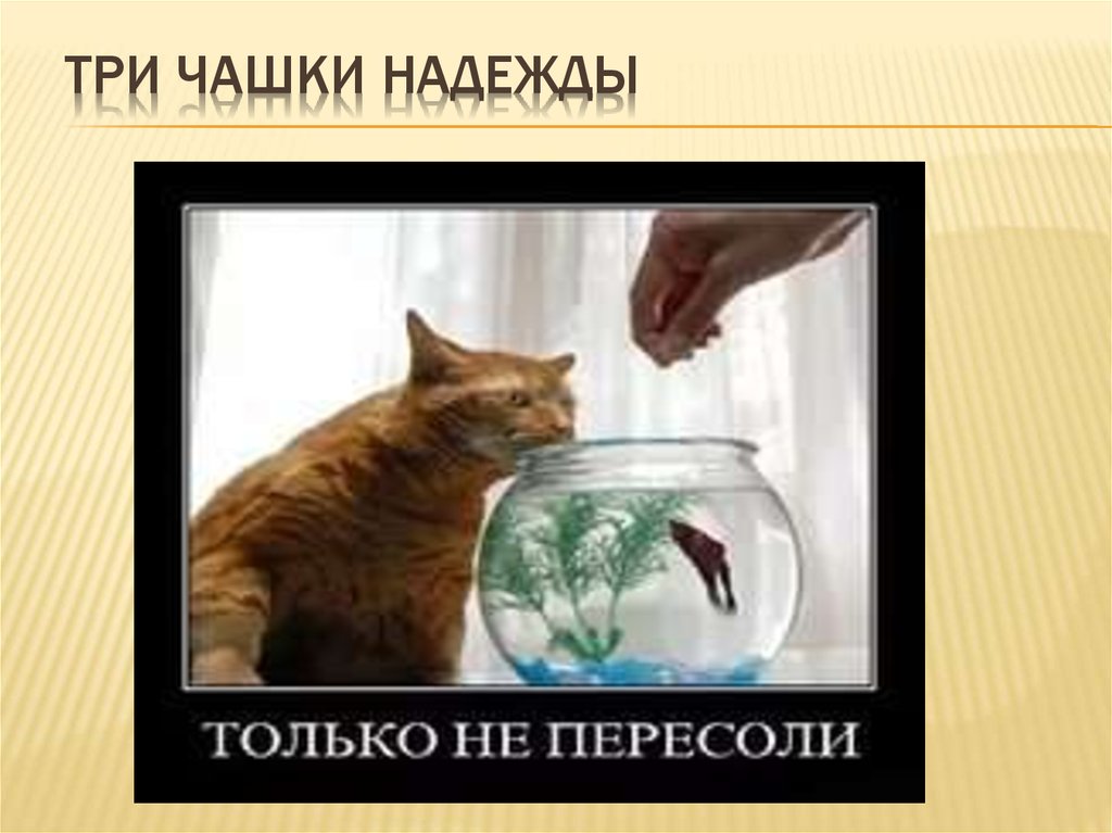 Три чашки НАДЕЖДЫ