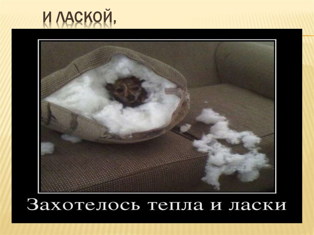 и ЛАСКОЙ,