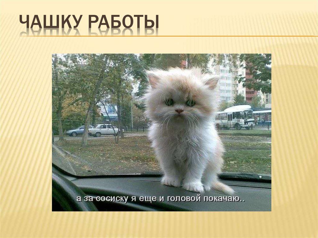 чашку РАБОТЫ