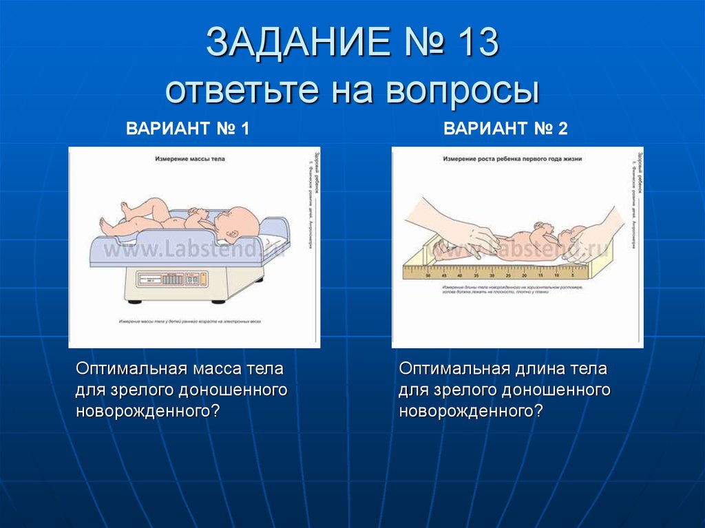 Способы регулирования массы тела человека презентация