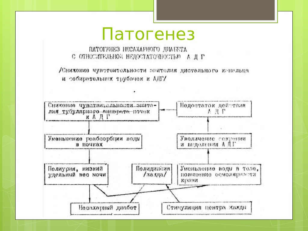 Несахарный диабет презентация