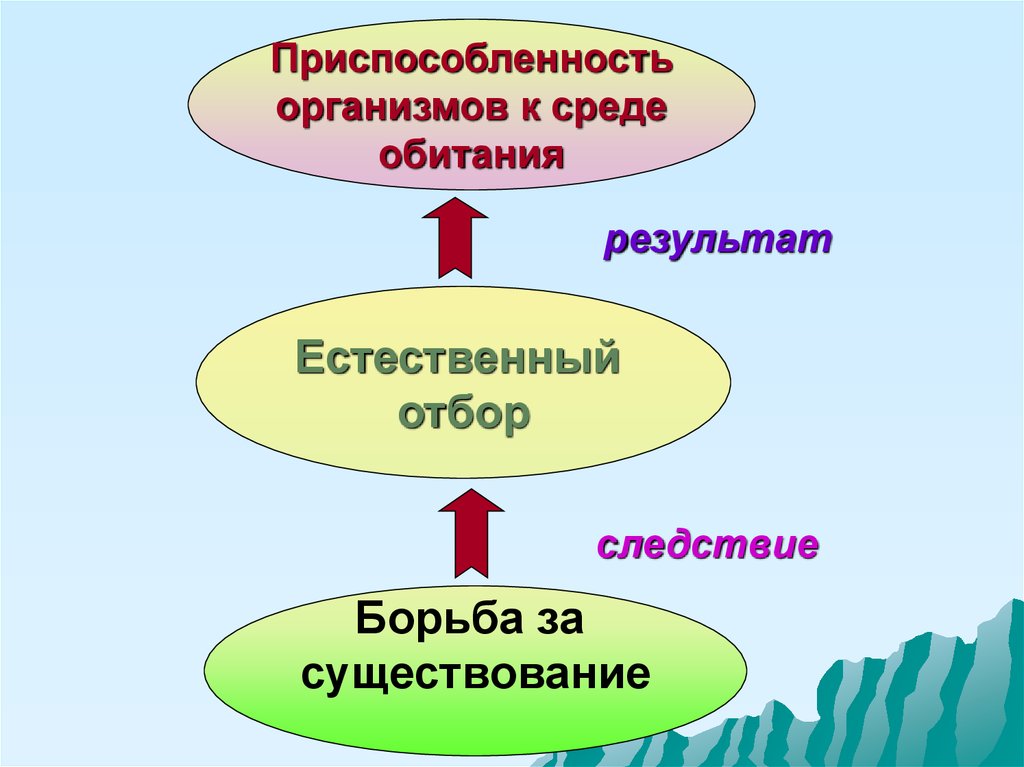 Презентация приспособленность организмов к среде обитания 9 класс