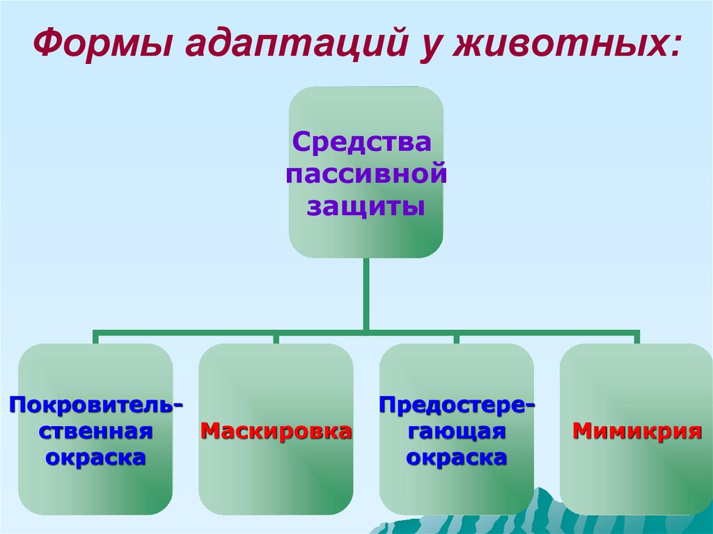 Формы адаптации животных. Биологические формы адаптации. Формы адаптации животных и растений. Формы адаптации у растений.