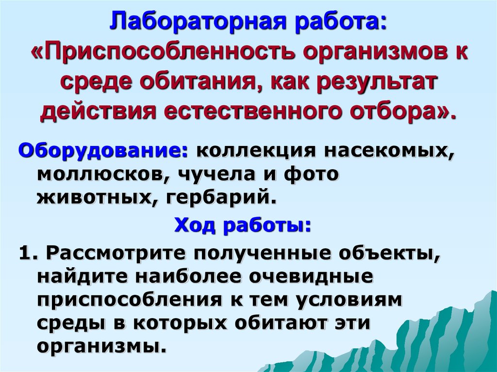 Приспособленность организмов к среде обитания презентация