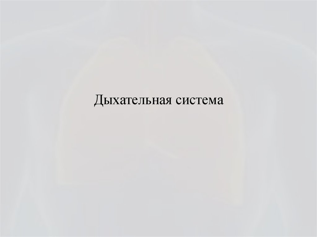 Дыхательная система - презентация онлайн