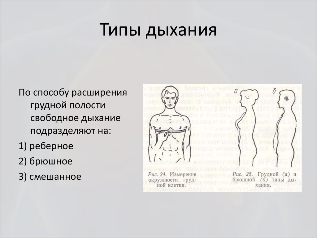 2 виды дыхания. Типы дыхания грудной брюшной и смешанный. Грудной Тип дыхания. Грудной и брюшной Тип дыхания. Грудной Тип дыхания характерен для.