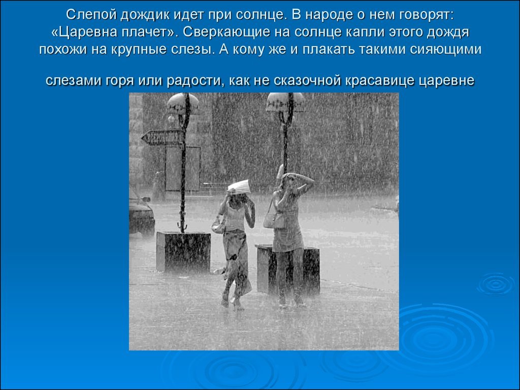 Предложения шел дождь. Рассказ о слепом Дожде. Слепой дождь описание. Слепой дождь сообщение. История дождя.