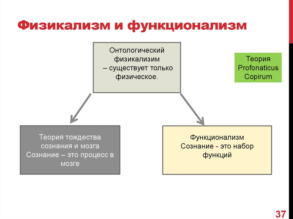 Дуализм сознания. Физикализм. Физикализм в философии. Физикализм в философии сознания. Функционализм в философии сознания.