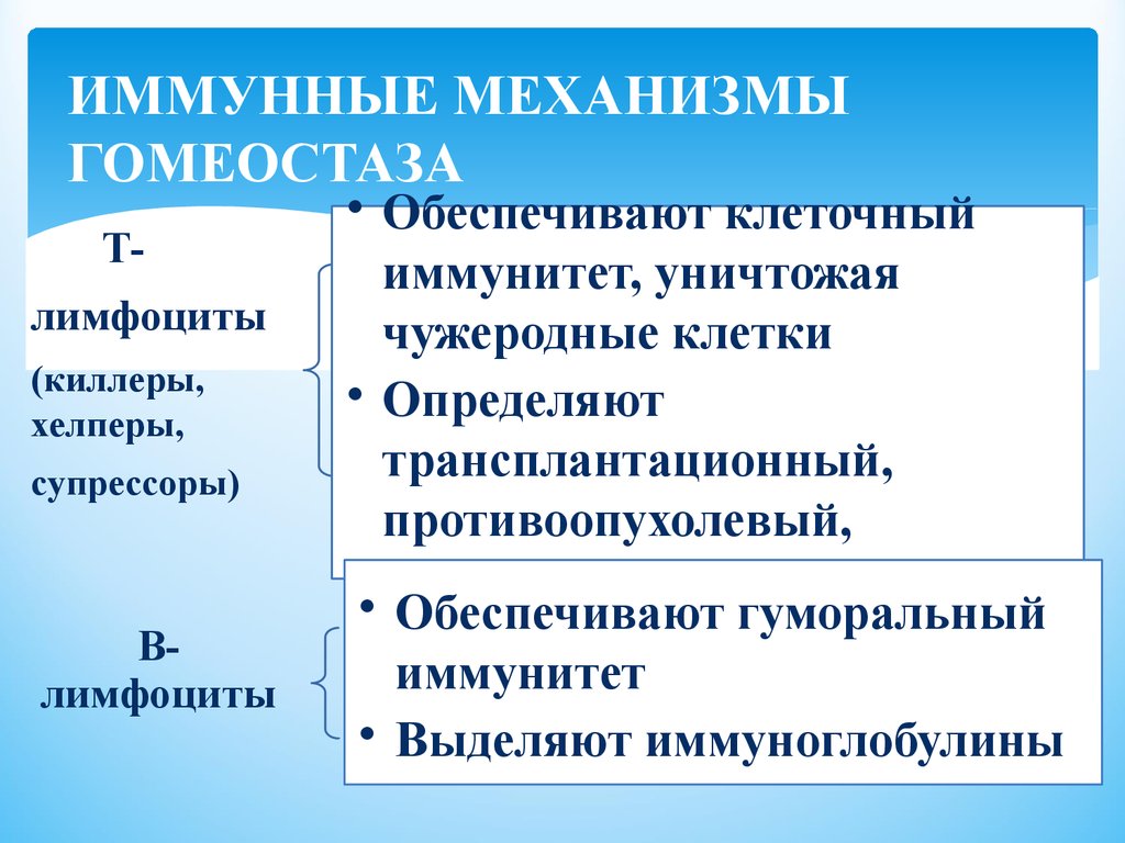 Механизмы гомеостаза. Иммунологический гомеостаз. Физиологические механизмы гомеостаза. Гомеостаз обеспечивается какими механизмами.