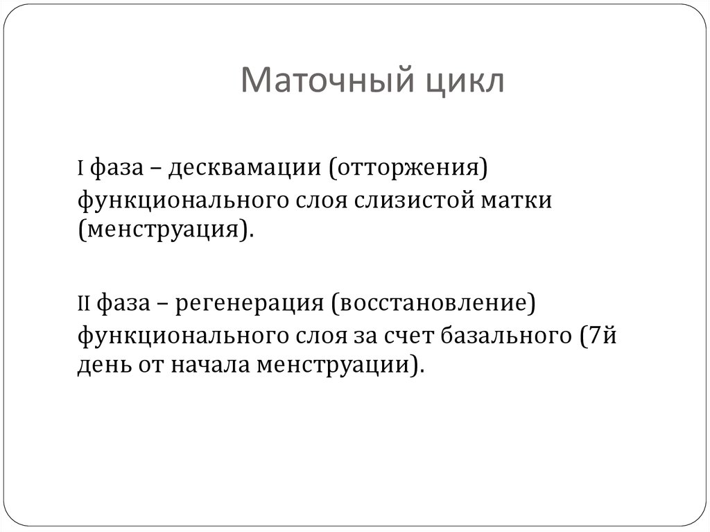 4 стадии цикла. Перечислите фазы маточного цикла. Маточный менструационный цикл кратко. Маточный менструационный цикл фазы. Фаза регенерации маточного цикла.