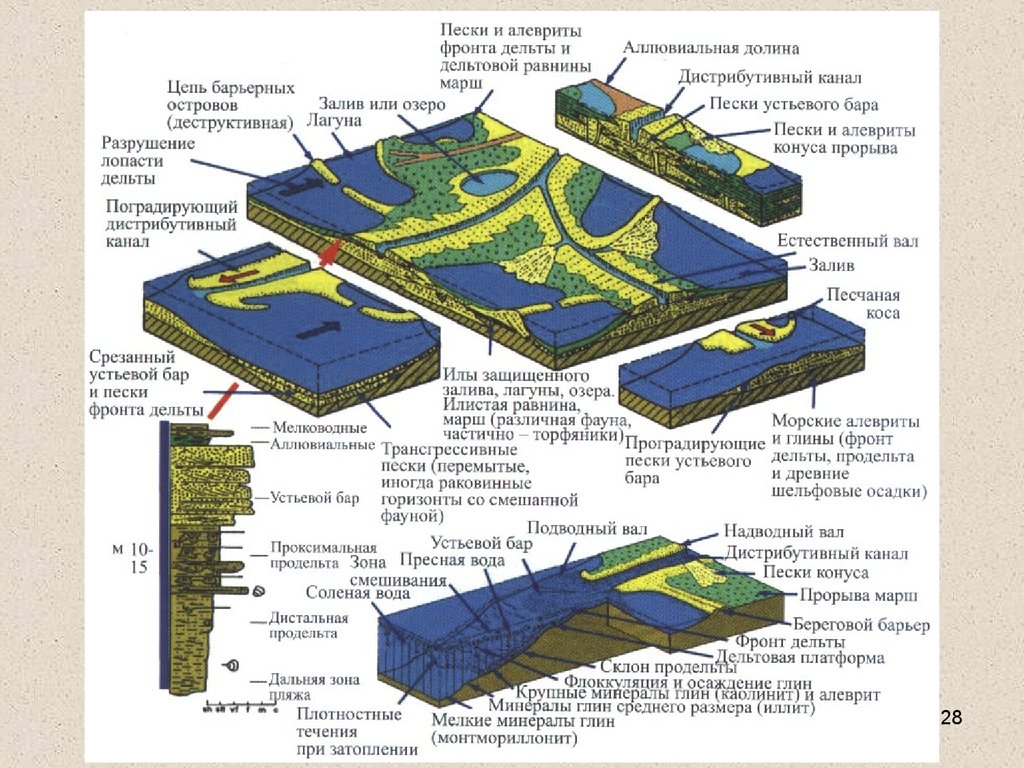 Барьерная территория. Морские обстановки осадконакоплени. Обстановки осадконакопления и фации. Морские условия осадконакопления. Типы осадконакопления.