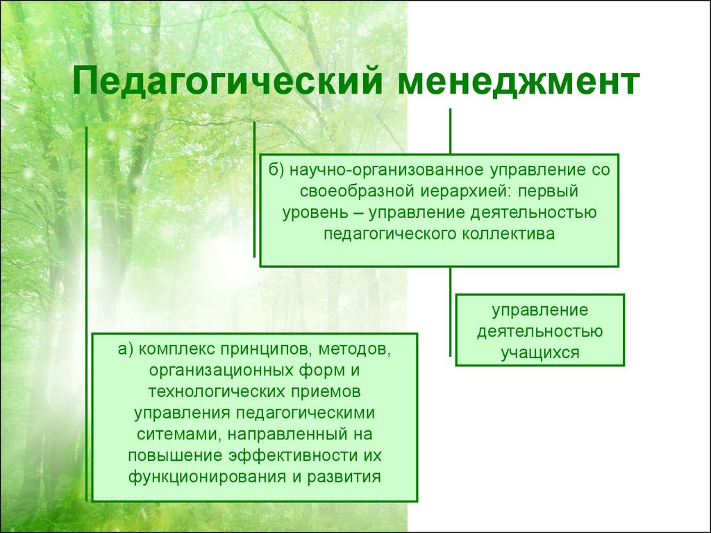 Сущность педагогического менеджмента презентация