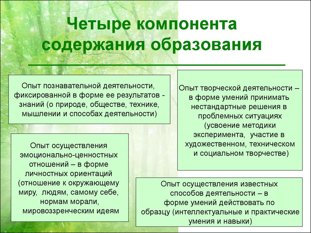 Схема компонент содержания образования позволяет определить