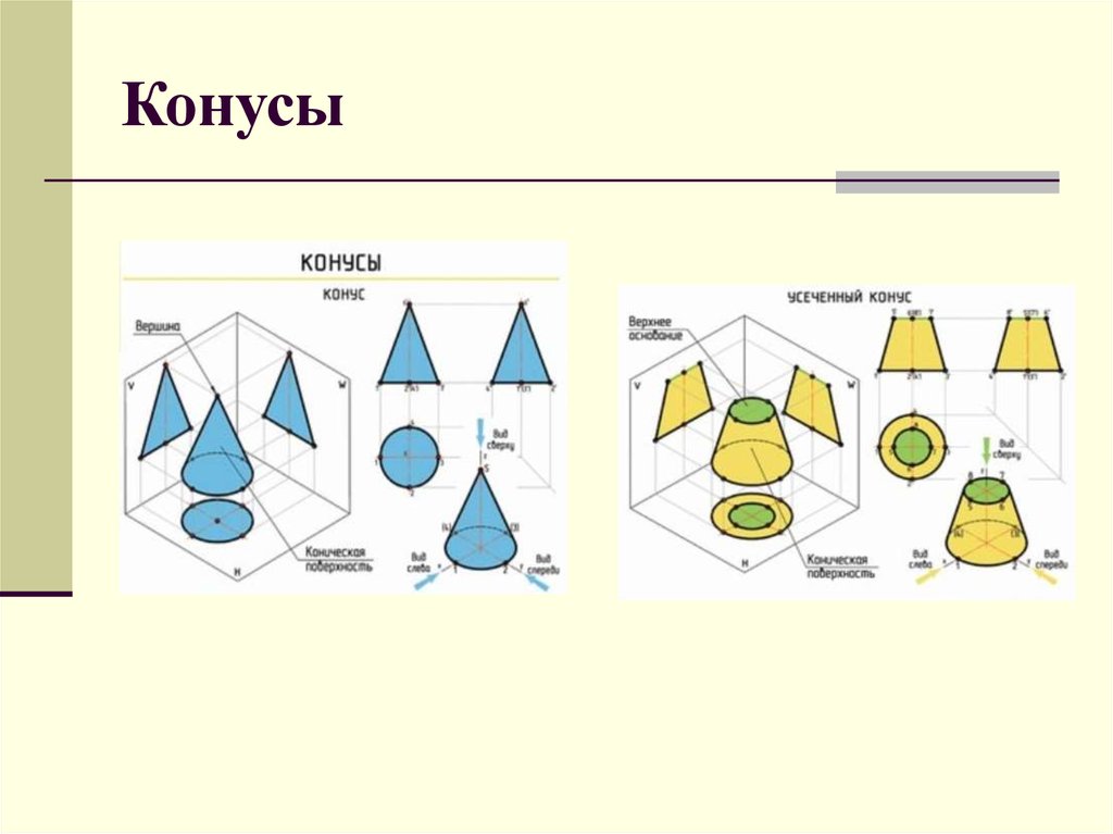 Какая геометрия в 5 классе