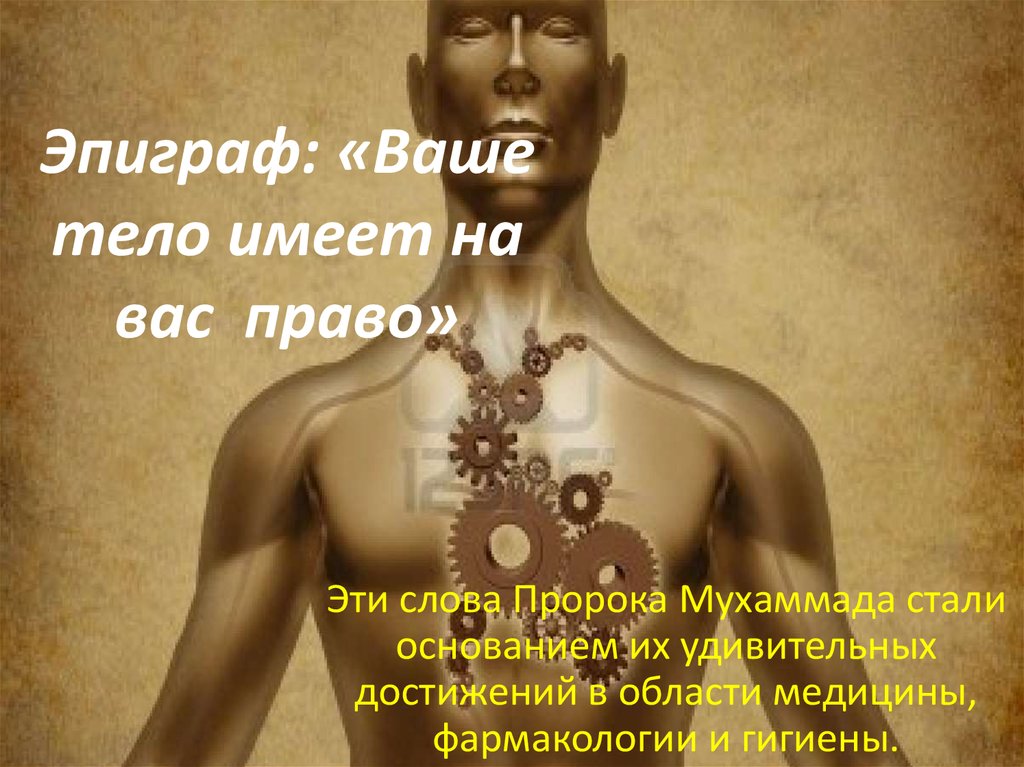 В том что ваше тело. «Ваше тело имеет на вас право». Тело имеет. Сколько тел имеет человек. Ваше тело ваше дело.