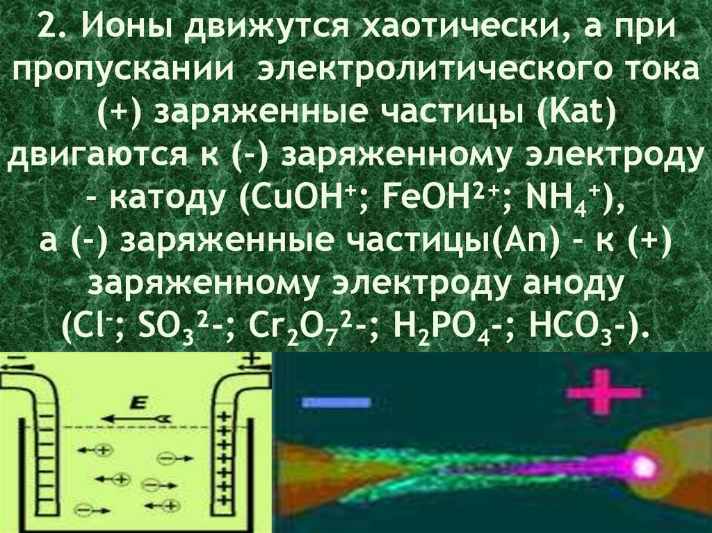 Движется катода к аноду. Как двигаются ионы. Как перемещаются ионы. Какие ионы движутся к аноду. Положительно заряженный ионы движутся к.