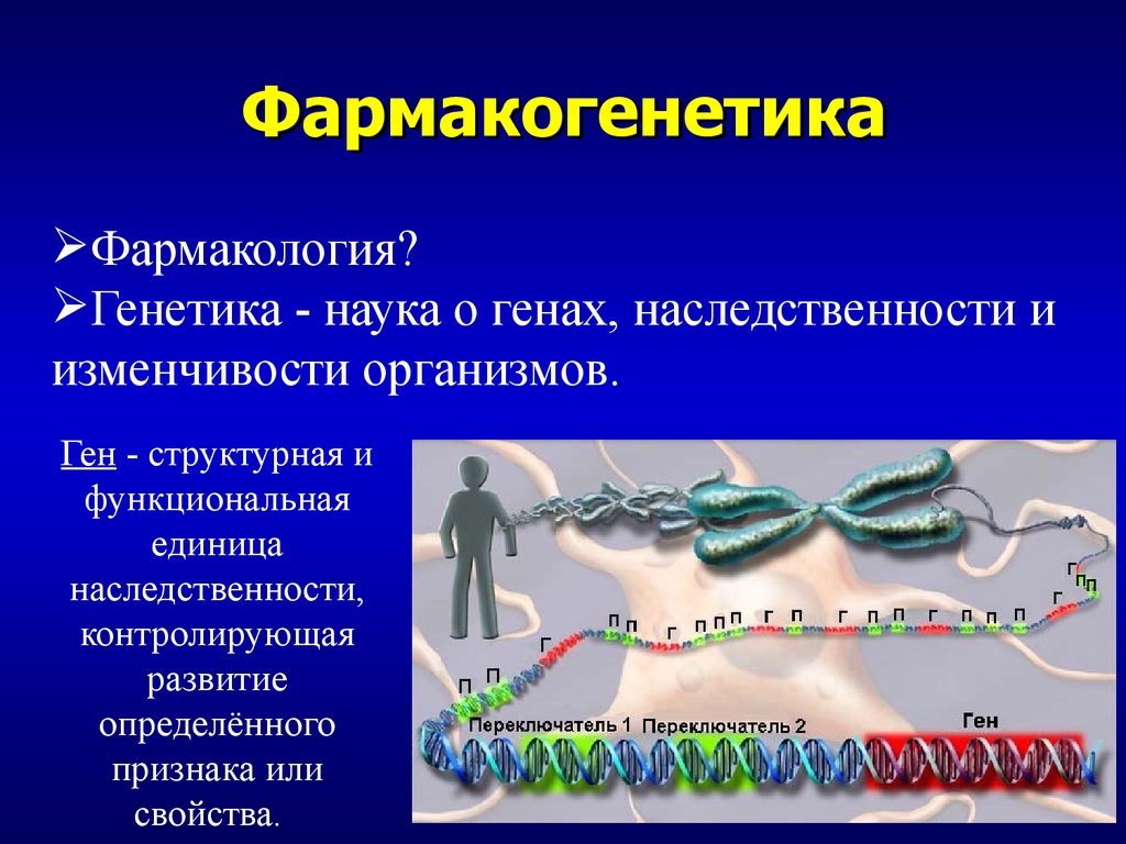 Спортивная генетика презентация