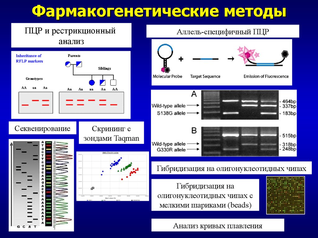 Карта рестрикционная это