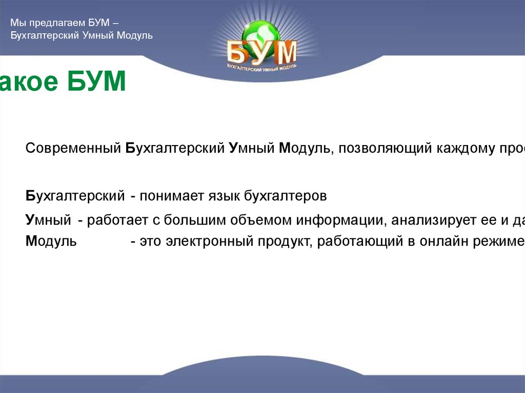 Что такое БУМ